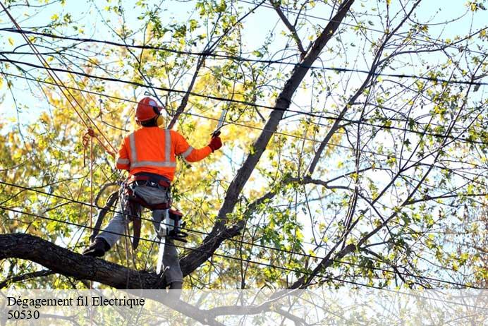 Dégagement fil Electrique  angey-50530 Renard 50