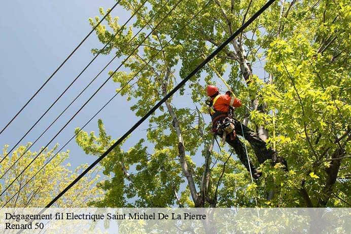 Dégagement fil Electrique  saint-michel-de-la-pierre-50490 Renard 50