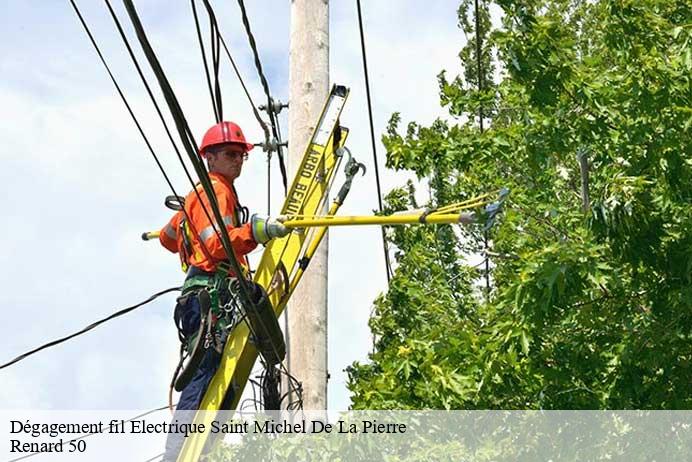 Dégagement fil Electrique  saint-michel-de-la-pierre-50490 Renard 50