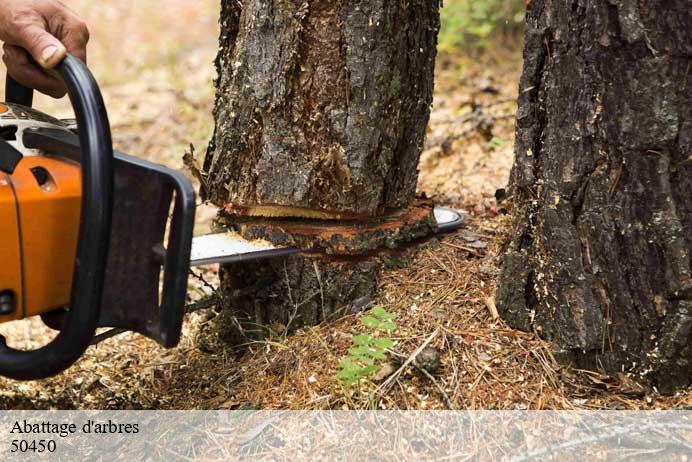 Abattage d'arbres  le-mesnil-bonant-50450 Renard 50