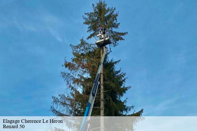 Elagage  cherence-le-heron-50800 Renard 50